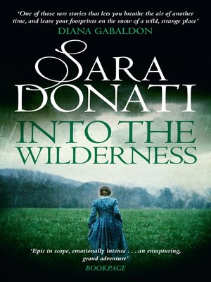 Into the Wilderness - ebook